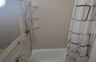 Apartament de inchiriat Tatarasi - 8