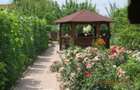 Vila P+M,teren 1.790 mp,Simeria-zona rezidentiala - 8