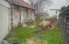 Teren intravilan, 267 mp, str. Alexandru cel Bun - 2