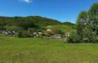 Teren intravilan de vanzare 1439 mp Luncani strada Slatinei - Bacau - 11