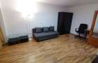 Lacul Tei inchiriere garsoniera Pet-Friendly - 7