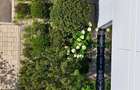 Studio usor de inchiriat | aproape de zona de business din vest