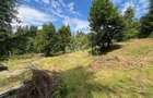 Teren intravilan 1074 mp cu utilitati-ideal pensiune, cabane-Colibita - 3