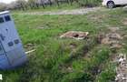 Vanzare teren intravilan tautii magheraus - 3