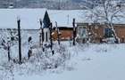 Vand casa cu anexe si teren 7,35 ha - 12