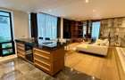 Duplex de lux cu terasă spectaculoasă, în inima zonei Charles de Gaulle - 2