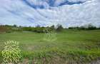Teren 5000 mp-ideal investitie-Ghinda - 6