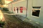 Spatiu comercial 262mp utili, stradal,Breasta,pozitie excelenta - 9