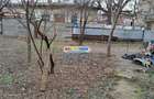 Vanzare apartament parter casa BERZEI si teren liber de constructie - 2