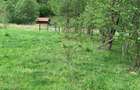 Teren rural de vanzare - electricitate ?i apa - 4