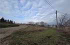 Teren intravilan,dublu front,Paleu,Oradea,Bihor - 2