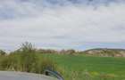 Vand 560 mp Lomb 14000 euro - 2