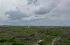 Teren 2500 mp zona Boreal