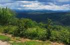 Teren Premium Intravilan ?uncuiu? (Pojorata) Panorama superba, padure - 10