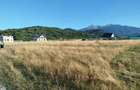 Teren de vanzare intravilan - 3