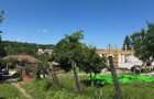 Rediu , 2500 mp , 64 ml deschidere - 1
