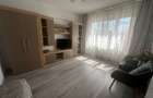 Inchiriere apartament 1 camera zona Calarasilor Viziru etaj 2 - 9