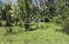 Teren 2.200 mp langa padure, la 11 km de Pitesti ideal pentru casa - 8