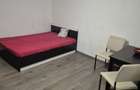 Garsoniera pet friendly cartier Brazda lui Novac - 6