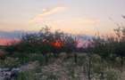TEREN INTRAVILAN DE VANZARE ROBANE?TI, DOLJ | 5.000 MP