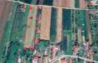 Teren intravilan Soimus ( 4644 mp) - 7