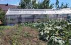 Casa de vanzare, 115 mp, teren 4000 mp, livada, zona Nord