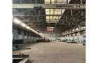Vanzare spatiu industrialhaladepozit Giurgiu - Port, Giurgiu - 1