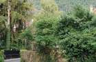 Apartament 3 camere | Etaj 3 | 2 balcoane | loc parcare