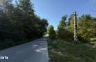 Teren Parau | Valea Danului, Curtea de Arges | Vidraru | - 1