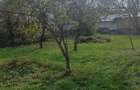 Vand sau schimb casa P+E+M in Savarsin jud Arad - 5