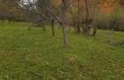 Teren de vanzare in Musate?ti, jude?ul Arge?, zona Maruncioaia, 3560mp, 25m deschidere, 4 EUR/mp - 4