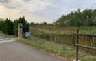 Vanzare teren intravilan PERIS, 1150 mp - 5