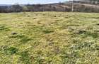 vand teren agricol satul Crocna judetul Arad - 5