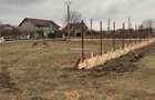 Teren construibil 1 Decembrie Ilfov