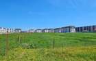 TEREN CHIAJNA - DEZVOLTARE IMOBILIARA - DIRECT PROPRIETAR - 4