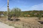 Teren intravilan ,str Livezilor , 3280 mp - 4