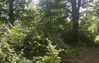 Teren extravilan, padure, 20.000mp2, Posesti Prahova - 2