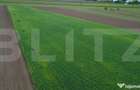 Teren agricol, 5.200 mp, Comuna Sendriceni - 6