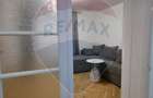 Apartament de inchiriat in cetatea Mediasului - 10
