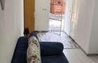 Inchiriez casuta copou Targusor - 7