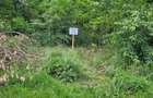 Teren agricol 3009mp FS=34.8m Titesti AG - 5
