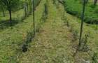 Vand teren Curtea de Arges - 3