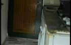 Pf inchiriez camera camin 12 mp Bularga wc dus in casa - 4