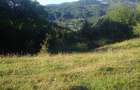Vânzare teren 10 ha lângă padure Varbilau - 7