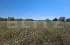 Teren de vanzare, 3000 mp, zona Dumbrava