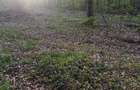 Vand teren intravilan - 3