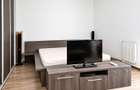 Apartament Ared Uta 1 camera de inchiriat - 13
