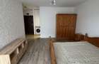 1 camera, decomandat,bloc nou , modern,Intre Lacuri,Iulius Mall, FSEGA - 3