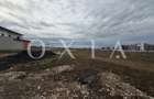 OX701 Terenuri Zona Buziasului | langa Hornbach - 3