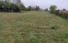 Teren 5000 mp Gorgota - Crivina, PH | Deschidere 25m | Utilitati la poarta & Livada - 3